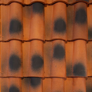 TEJA S10 ROJO FLAMEADO